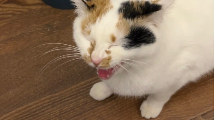 Don’t buy this “b” button for someone who’s been reincarnated as a hungry ghost!