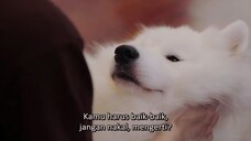 DOG BRO EP04 SUB INDO