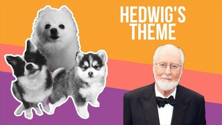 Hedwig's Theme (Harry Potter) but it's Doggos and Gabe