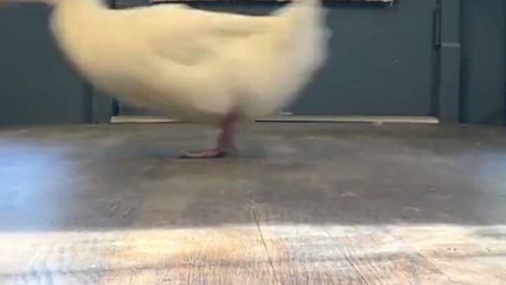 أنا الذي نمت أكثر من اللازم