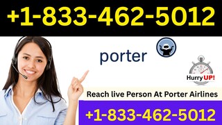 How to Contact POrter AIRLINES®® Customer Service Hotline: Call-Now Guide