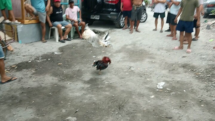 Talo na Sana nnalo pa