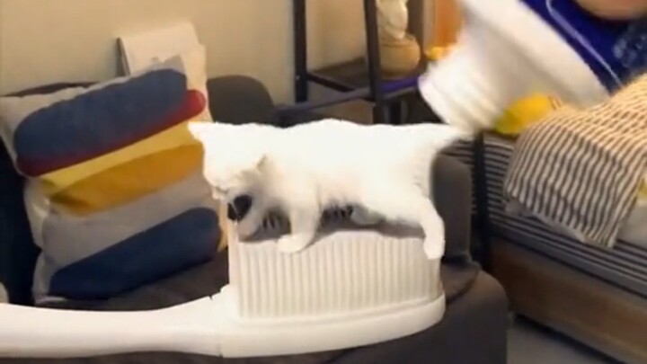 This must be an illusion!
