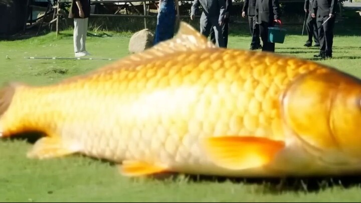 หนุ่มจนจับได้ระบบตกปลาเทพ กลายเป็นทายาทมหาเศรษฐี สุดท้ายเอาคืนล้างบางศัตรูจนหงาย!. ----