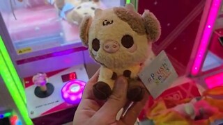 We Won ALL of these from the Claw Machines so Easily!