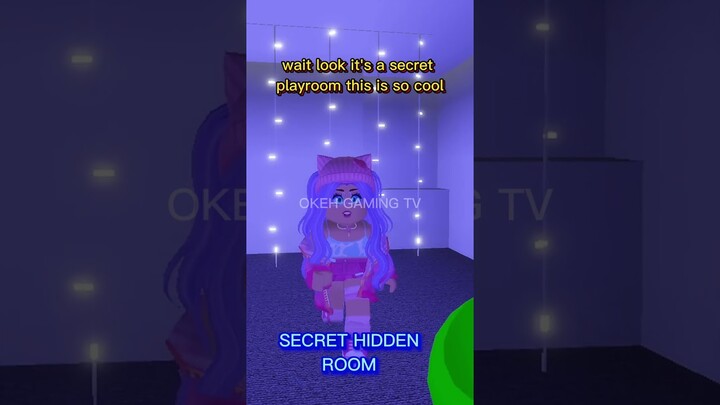 NEW BROOKHAVEN JET UPDATE! (Secrets)