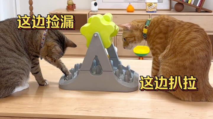Xiao Mi: So I’m just a tool cat, huh?