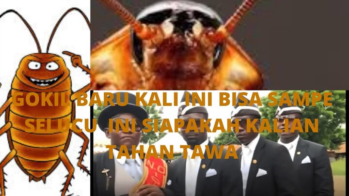 video lucu bikin ngakak abis warga |warga 62+ terbaru