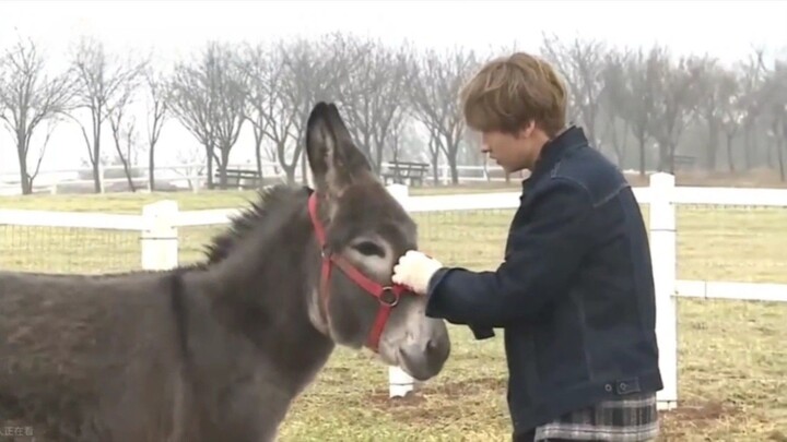 [CN] 150301 OK! Raηch Ep.6
