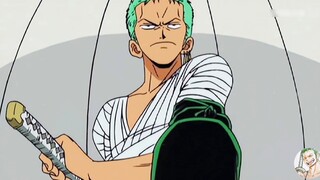 Zoro: Tôi không phải người thật, nhưng bạn là những con chó thật