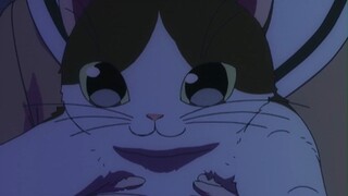 ネコ長っ！（好长的猫！）