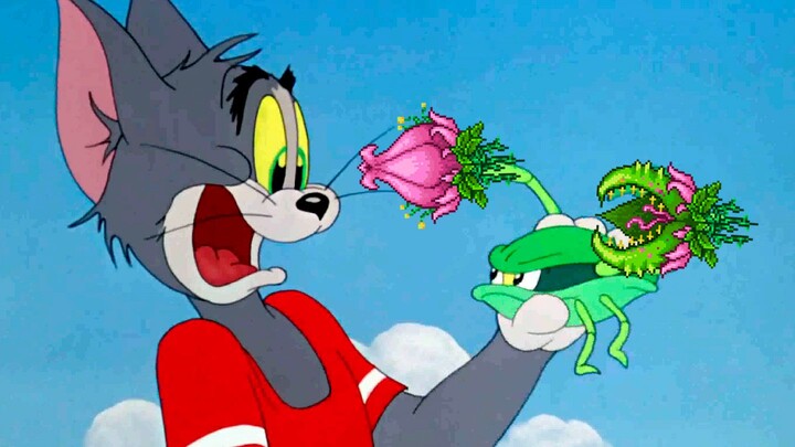 【Tom and Jerry】Plantera of the Century (original song not used)