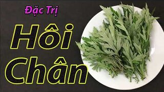 Áp dụng 1 lần cả đời không lo hôi chân trở lại nhờ 1 nắm rau ngải cứu  cách chữa hôi chân