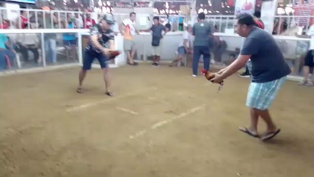 win Ormoc,JBC red lemon Eagle GF Vs. R.A.S Game farm