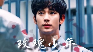 【玫 瑰 少 年】在本该绚烂绽放的年纪…少年无罪，有罪的是这世界。