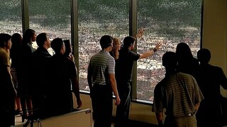 When Locusts Start Attack People, They Assume That This Thick Glass Will Protect Them