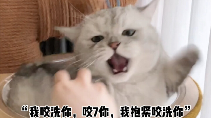 อย่าแตะหางฉัน!!
