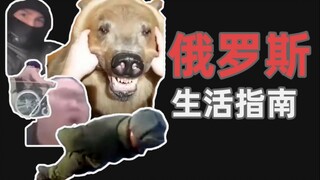 人类观察日志 011