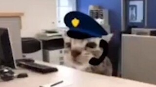 "你好,是警察局吗？我想问问制冰违不违法？"