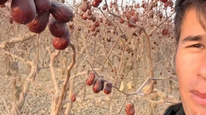 بات الآن حقًا واحدًا من كبار سائقي حافلات المدينة!