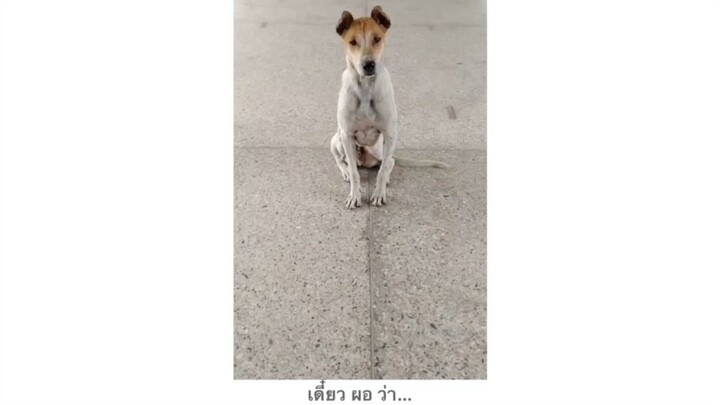 น้องทำหน้าสงสัย 55555+