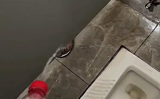 أحبطني تمامًا!