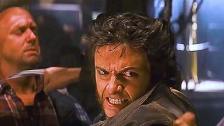 Aku bilang bagaimana mungkin dia bukan Wolverine