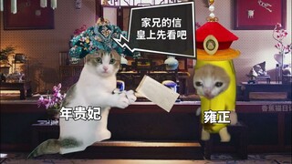 เล่าชีวิตของฮัวเฟยในประวัติศาสตร์ผ่านมีมแมว (ตอนจบ)