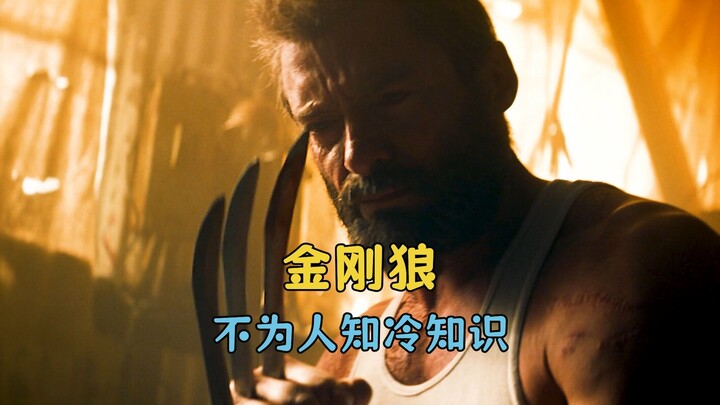 Bí ẩn thú vị về Người Sói: Magneto thực sự là kẻ địch suốt đời của Wolverine!