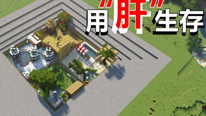 用“肝”生存【7】建个普通的牧场！