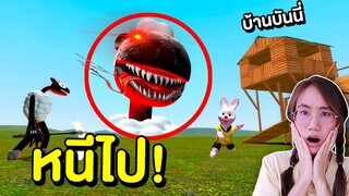 Cartoon sheep vs บ้านของบันนี่ | Mind&Nat