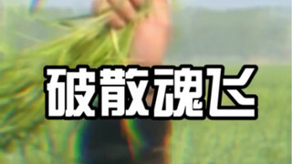 哈喽大家好啊，我是张若宇