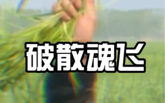 Xin chào mọi người, tôi là Trương Nhược Vũ