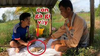 Cháu Vợ Mừng Gỡ Được Tư Cà Khịa Đãi Ăn Gà Và Cái Kết