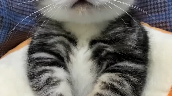 Sending someone off, sending someone off