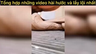 Tổng hợp những video hài hước và lầy lội P8