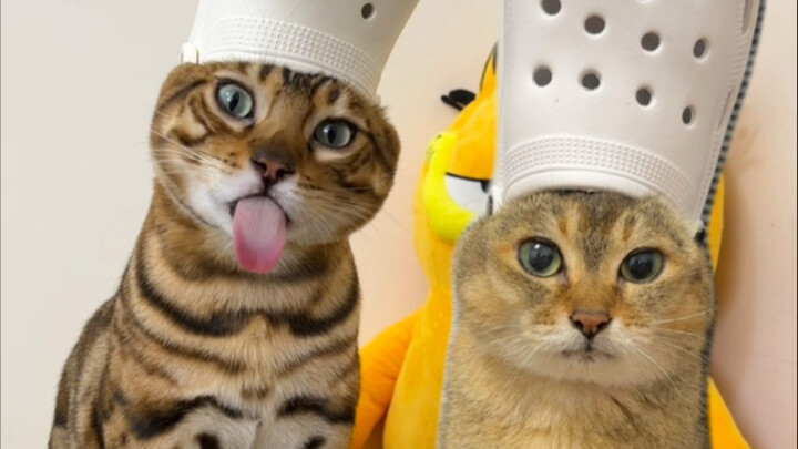 Sis Mei’s not riding this week!