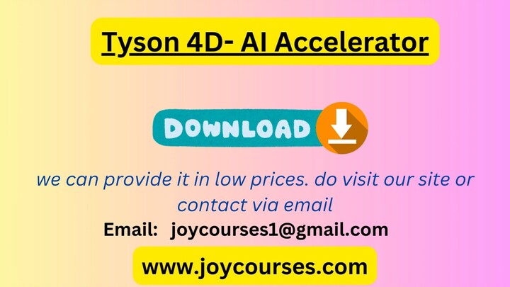 Tyson 4D- AI Accelerator