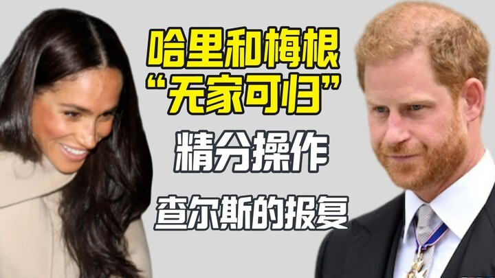 查尔斯没收哈里梅根的英国住所 两人精分回应