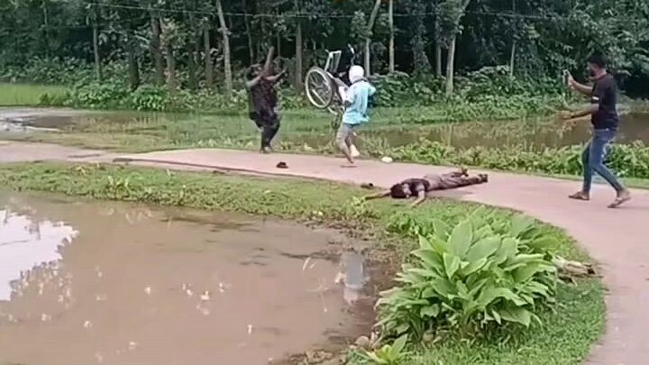 #fyp