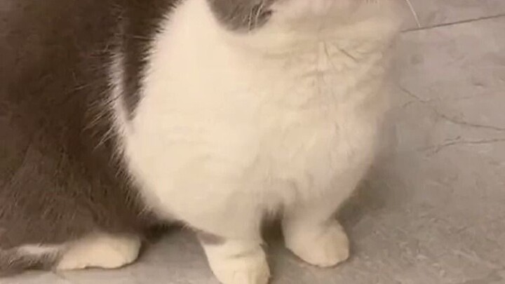 Plops down anywhere, and the cute-pouting mode is on.