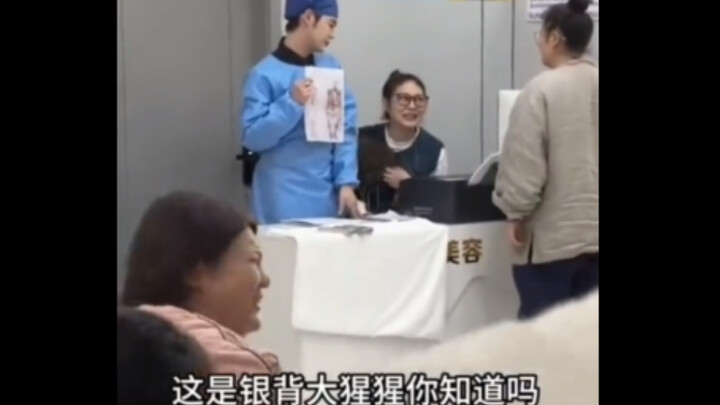 Đây là khỉ đột lưng bạc, bạn biết không?