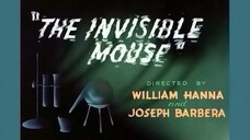 The Invisible Mouse