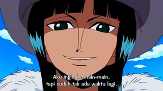 Robin sebelum menjadi crew luffy