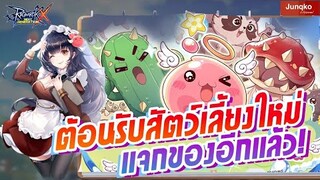Ragnarok X - กิจกรรมต้อนรับสัตว์เลี้ยงใหม่ แจกของกันฟรีๆไปเลย !!