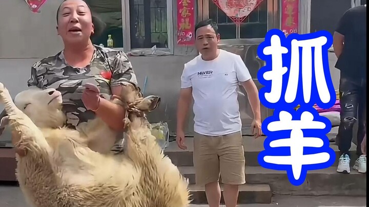 As soon as they heard the “catching sheep” tune, the two generals Hē and Hā were laughing uncontroll