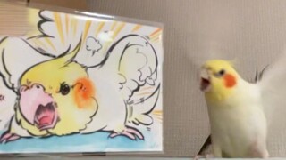 إنه ليس طائرًا جيدًا للوهلة الأولى