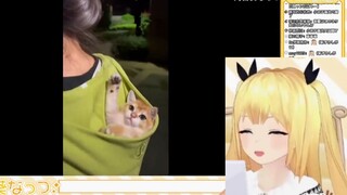 日本学妹看《“虽然我是猫猫，但是我有礼貌！！”》