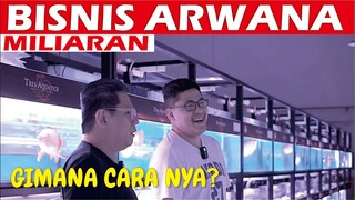 BISNIS ARWANA SUPER RED MILIARAN CARA NYA GIMANA??