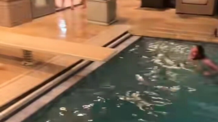 【Meme Dinner】Laugh and You’ll Turn into a Cat-Eared Maid #10